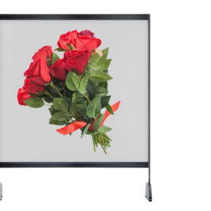 Màn Hình LED Trong Suốt LED Holographic Invisible Screen