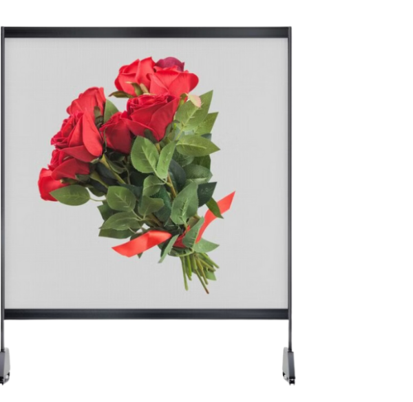 Màn Hình LED Trong Suốt LED Holographic Invisible Screen